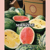 MMMZINE Vol.1